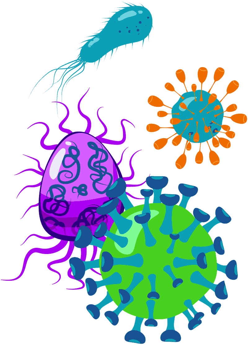 virus et bactéries